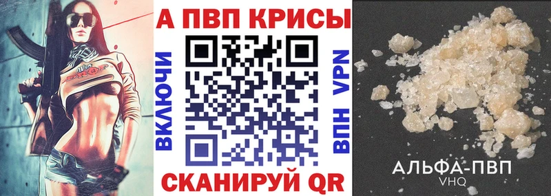 Где купить Торжок Псилоцибиновые грибы  mega   ГАШИШ  СК  Меф 