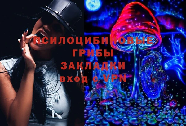 apvp Осинники