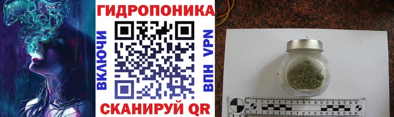 Бошки марихуана Ganja Торжок