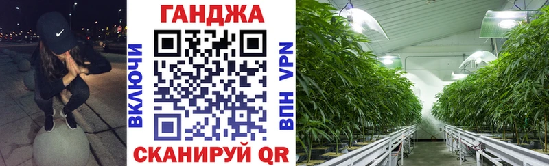 площадка наркотические препараты  Торжок  Бошки Шишки VHQ 